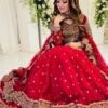 Kashees Red Bridal Collection Net Replica