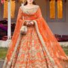 Hira Mani Orange Luxury Net Collection Replica