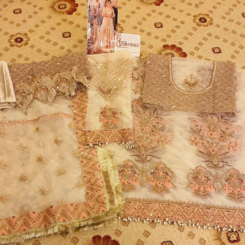 Afrozeh Jahan Ara Skin Bridal Collection Net Replica