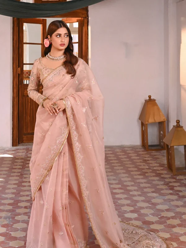 Qalamkar Peach Exclusive Organza Saree Replica