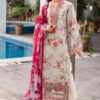 Asifa & Nabeel Skin Printed Lawn Collection Replica