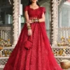 Qalamkar Red Exclusive Bridal Organza Maxi Replica