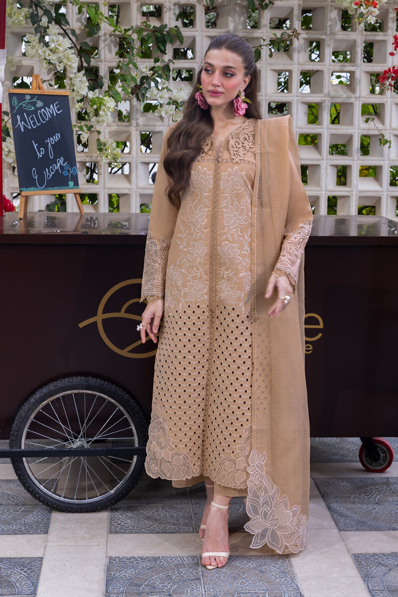 Rang Rasiya Brown Luxury Lawn Collection Replica