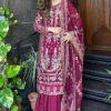 Shrenz Shocking Pink Luxury Bridal Collection Chiffon Replica