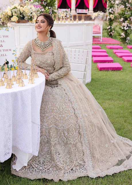 Kanwal Malik Skin Soft Net Formal Collection Replica - Image 3