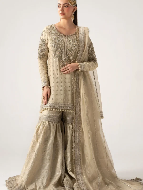 Maria B Skin Net Bridal Collection Replica