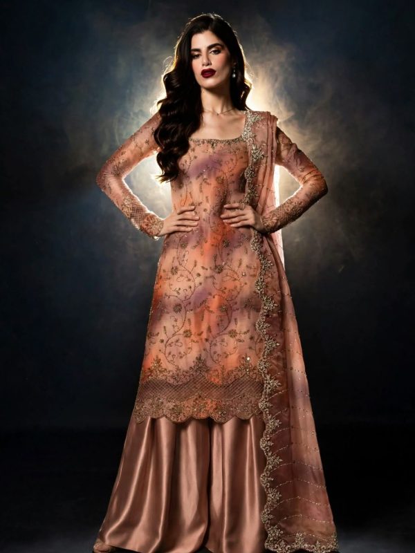 Shrenz Brown Cutdana Sheesha Silk Formal Collection Replica
