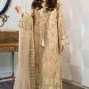 Shrenz Skin Soft Net Formal Cutdana Collection Replica