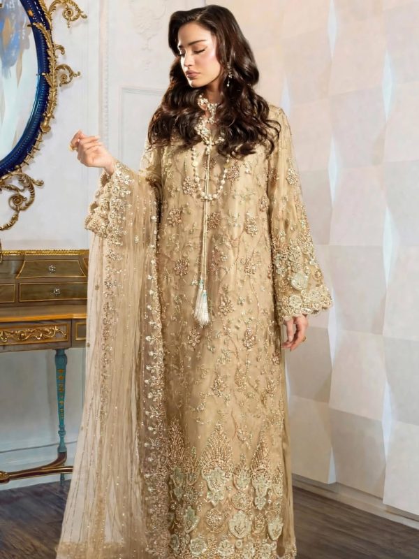 Shrenz Skin Soft Net Formal Cutdana Collection Replica